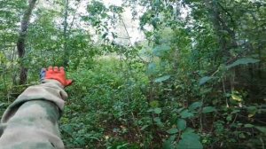 Подзабили каракат на краю деревни.Металлокоп на каракате.