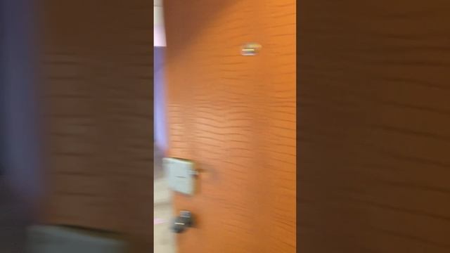 21-04-2023 наши дни, Савины, #shorts #большаясемья