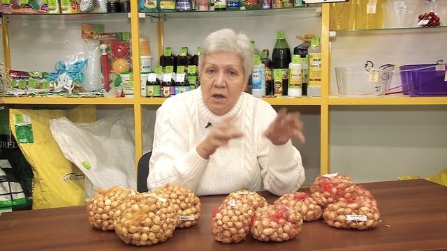 Голова садовая - Разбираемся с семенами лука севок смотреть онлайн