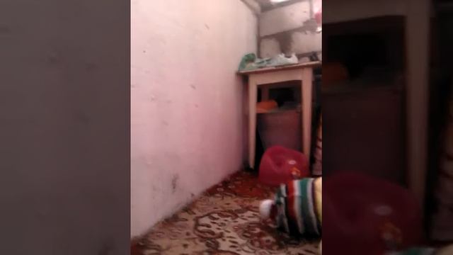 Альбом для наклеек монстер хай. смотреть онлайн