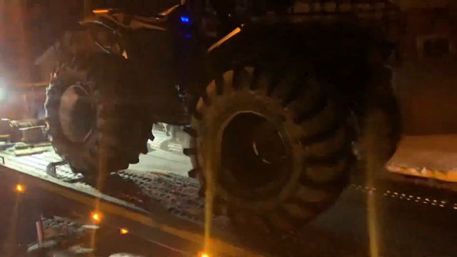 Купим сокола , что дальше , зачем купил и что с ним будем делать смотреть онлайн
