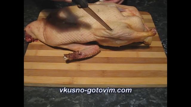 Животные в Зоопарках