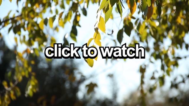 How To Lucid Dream Tonight In 5 Steps (Updated WILD Tutorial) смотреть онлайн