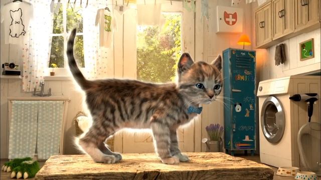 ПРИКЛЮЧЕНИЕ МАЛЕНЬКОГО КОТЕНКА - Спасаем и лечим кота #пурумчата смотреть онлайн