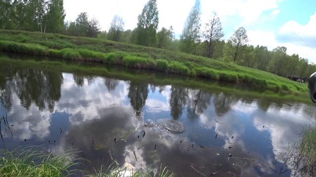 РЫБАЛКА НА МАЛОЙ РЕКЕ. ЛОВЛЯ ГОЛАВЛЯ И ОКУНЯ НА ВОБЛЕР AKARA SLY 35. смотреть онлайн