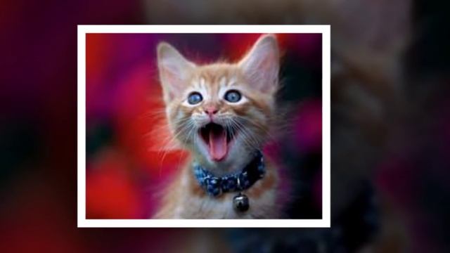 песня мартовского кота смотреть онлайн