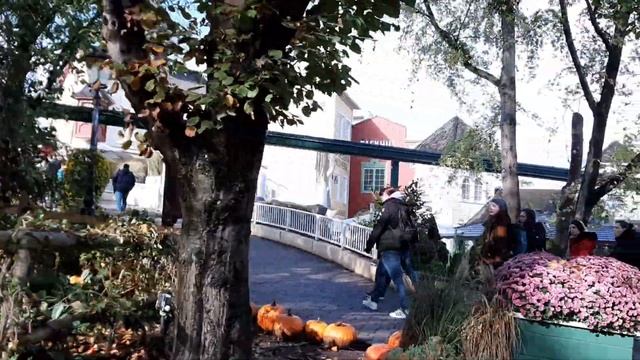 Наша экскурсия в Europa park, Rust Deutschland _часть 4_Обзор парка на поезде) смотреть онлайн