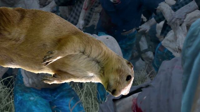 САЙТ СО СТРАШНЫМИ ИСТОРИЯМИ (куда я попал?) 🤪 смотреть онлайн