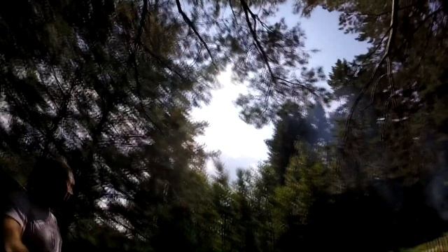 открытие охоты 2017 алтайский край смотреть онлайн
