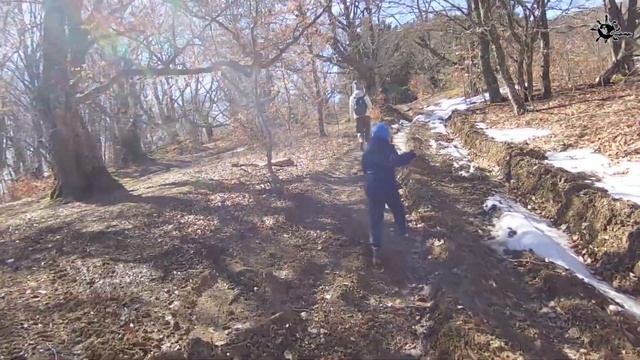 Секвойядендрон. Крым. смотреть онлайн