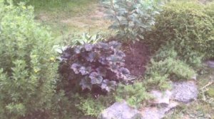 ПРОГУЛКА ПО ИЮЛЬСКОМУ САДУ