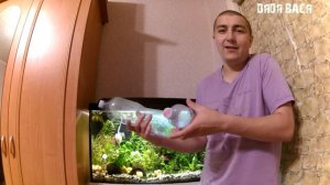 Охлаждение аквариума.  Первый способ! [#Охлаждение аквариума]