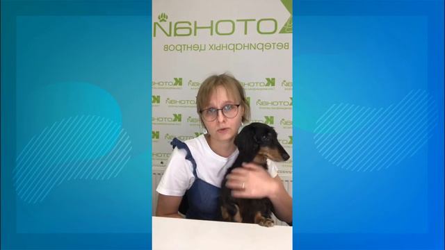 Что нельзя выявить без осмотра животного? смотреть онлайн