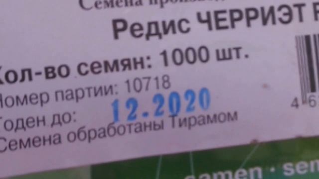 Любимая Дача 02.06.2020г/потоп в теплице,что делать? смотреть онлайн