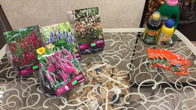 Обзор цветов! Вероника колосковая.Волжанка. Лиатрис. Хосты. Ирис сибирский. Мои покупки 2021 !!! смотреть онлайн