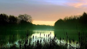 Action Fish. По тропам Воложки