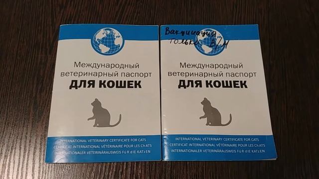 ВАКЦИНАЦИЯ КОШЕК - КАКИЕ ПРИВИВКИ, КАК ЧАСТО ДЕЛАТЬ, ОТМЕТКА В ВЕТЕРИНАРНЫЙ ПАСПОРТ смотреть онлайн