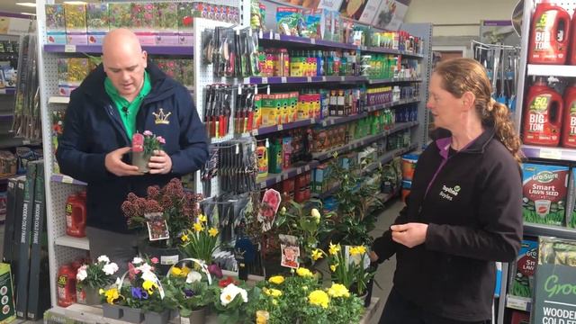 Brining More Colour Into Your Garden | The Kerry Garden Show 2022 | Episode 3 смотреть онлайн
