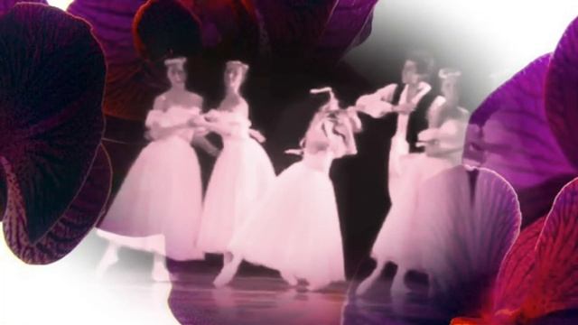 Когда цветут орхидеи, ангелы спускаются с небес смотреть онлайн