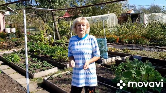 Сеем сидераты. Овес смотреть онлайн
