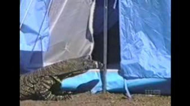 Нежданный гость смотреть онлайн