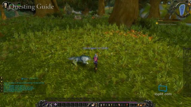 World Of Warcraft Riverpaw Gnoll Bounty