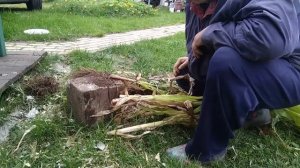 Обзор садового измельчителя HUTER ESH-2500