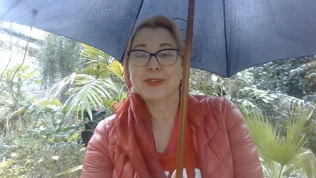 Решительный СУНАК на Бали.Домашняя ПОРКА ждет его по возвращении смотреть онлайн