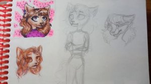 Мои рисунки | Обзор скетчбука №39 | Коты Воители | Фурри | Истории моих персонажей | #73