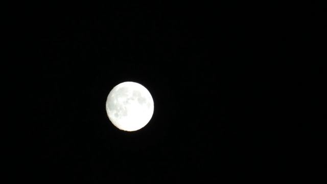 Canon SX60 Zoom Test , Hangi Kamerayı Kullanıyorum смотреть онлайн