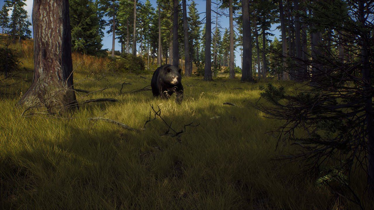 Way of the Hunter - Новая охота #6 Прокачка умений. Прокачка манков. Игра с подписчиками смотреть онлайн