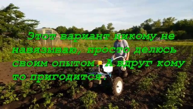 Окучивание картофеля мотоблоком Нева, с выносом левого колеса на соседнюю борозду смотреть онлайн