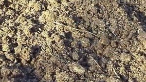 Чудо-лопата - инструкция по применению!