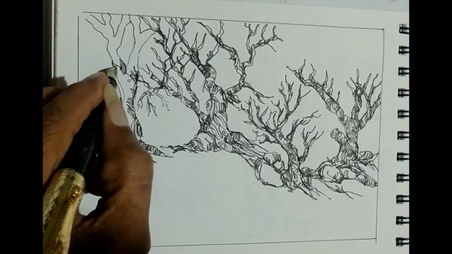 sketch trees drawing with fountain pen смотреть онлайн