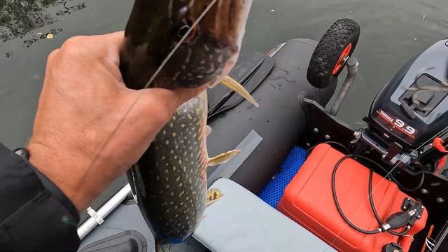 Ловля щуки на Дону смотреть онлайн