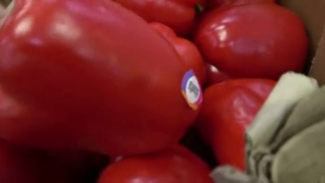 ?СВЕТОФОР ИЩУ НОВИНКИ ?ЗАВОЗ НА ЛЕТО УДАЧА!?КАРДЕ КУЛИРКА ?ОБЗОР СВЕТОФОРА смотреть онлайн