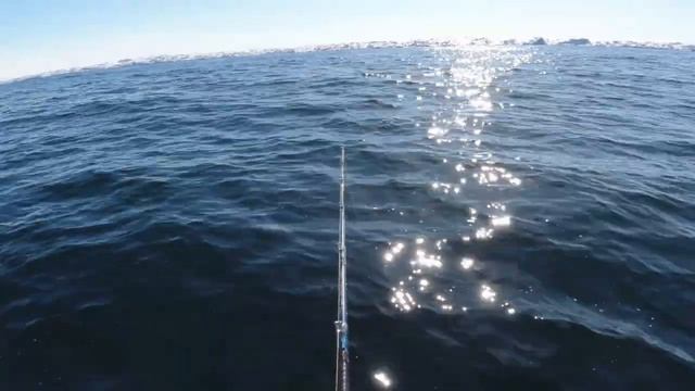 НА РЫБАЛКУ ЗА ТРЕСКОЙ. РЫБАЛКА В БАРЕНЦЕВОМ МОРЕ. МОЯ ПЕРВАЯ МОРСКАЯ РЫБАЛКА смотреть онлайн