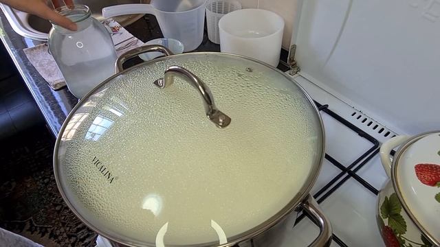 Маасдам. Maasdam