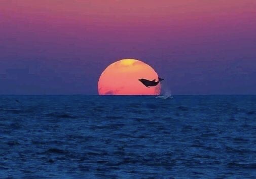 Подмигнул мне с намёком...