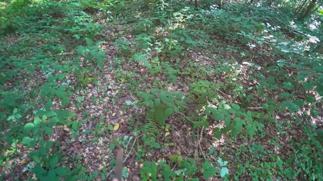 ЭТО НЕ КОНЕЦ! смотреть онлайн