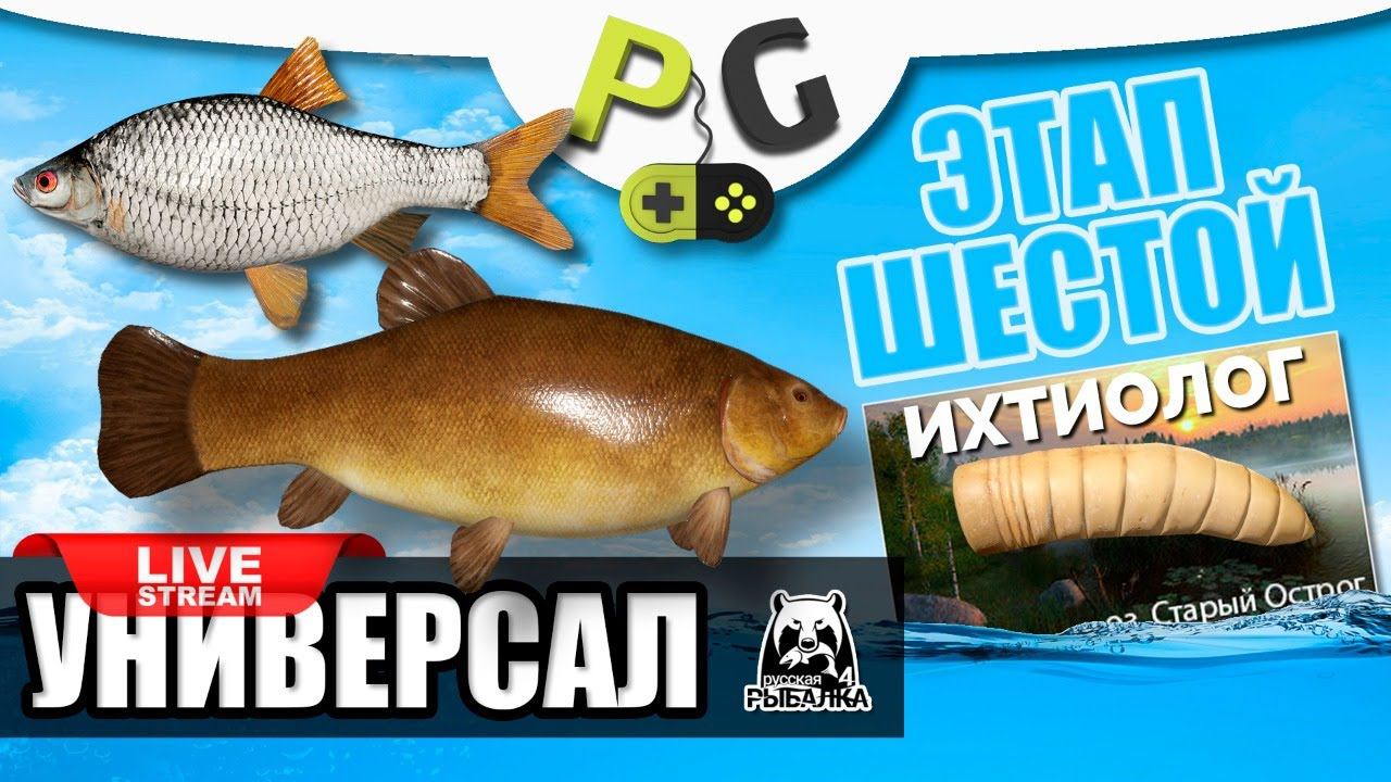 Русская Рыбалка 4 - Стрим Прокачка УНИВЕРСАЛА для шестого этапа, Часть #2 Старый острог Ихтиолог смотреть онлайн