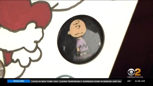 Pamela Muzio Shares Her Impressive Button Collection смотреть онлайн