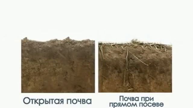 Сельское хозяйство Аргентины смотреть онлайн