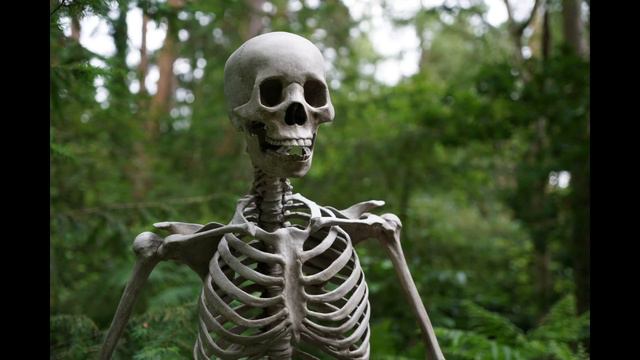 Skeleton Rattling Sound Effect