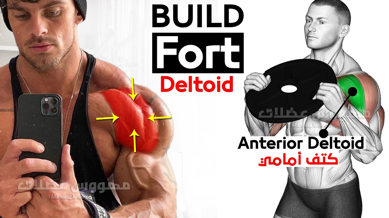 Упражнения для огромных плеч (передняя дельтовидная мышца) смотреть онлайн