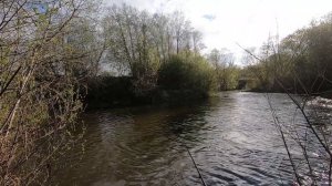 Рыбалка-отдых на реке Буй