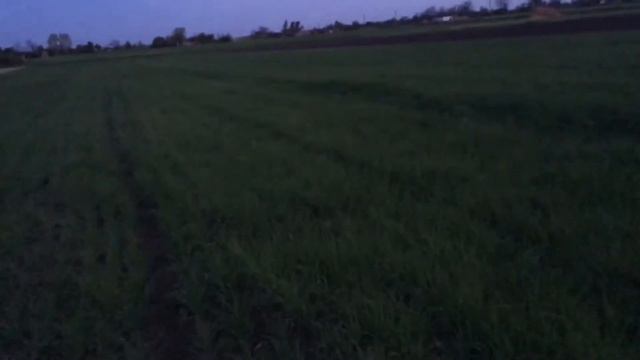 Участок ярового ячменя на 2 мая смотреть онлайн