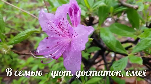 Видео поздравление с 1 мая, поздравления с 1 мая видео скачать, видео поздравление с 1 мая скачать смотреть онлайн