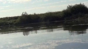 Ишим РЫБАЛКА