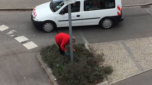 Подстрижка газона в Германии смотреть онлайн